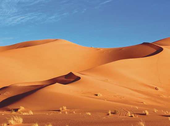 dunes de sables