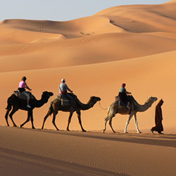 désert du Maroc