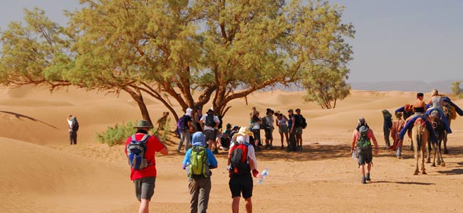 Le trekking