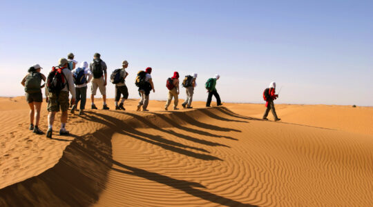Trek dans le Sahara