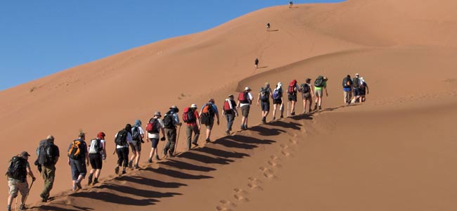 Le désert du Sahara